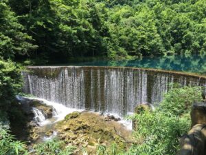 リボ払いの利息が高い時の対処法は？