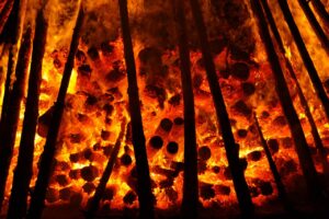 リボ払いの地獄から抜け出す方法は？
