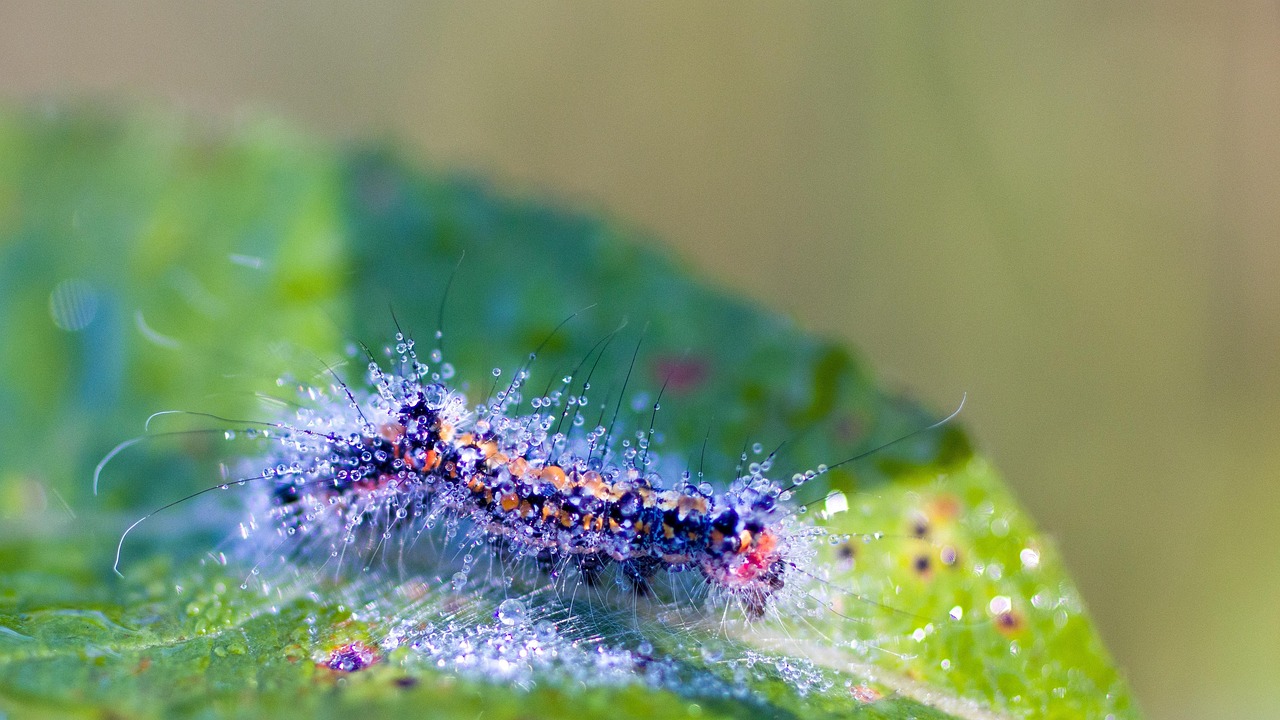 任意整理の金利は何パーセントか知っていますか？