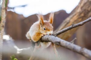 債務整理の分割払いは可能かどうかを徹底解説しますか？