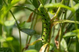 任意整理で利息を免除できる方法とは？