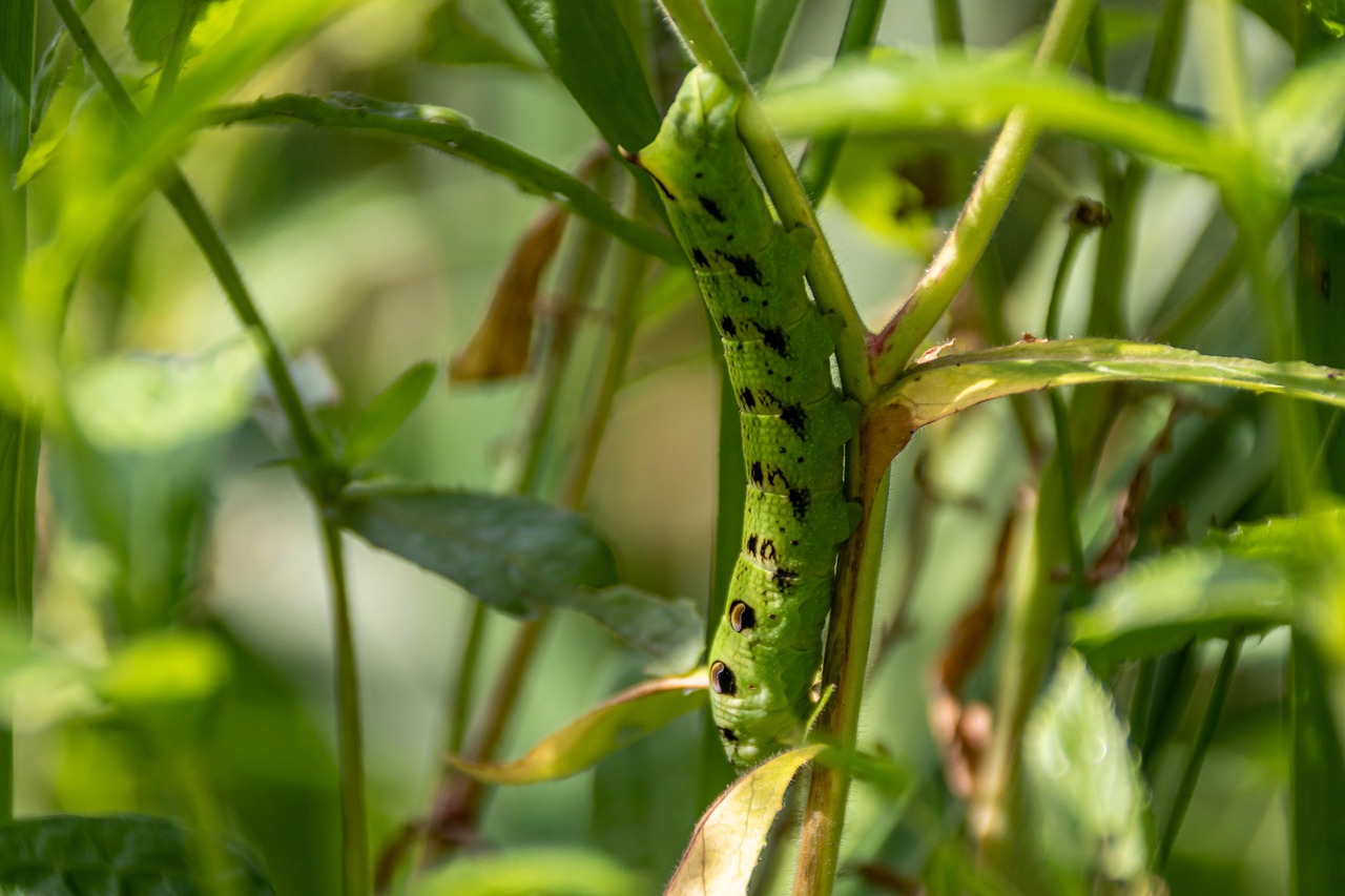任意整理で利息を免除できる方法とは？