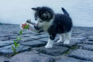 督促を無視し続けるとどうなる？